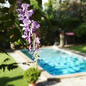 Park Palace **** Florencie